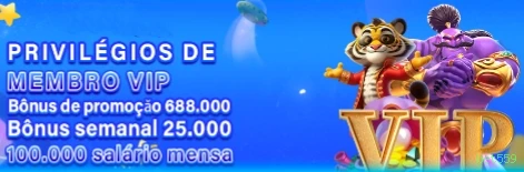 Interface de Apostas ao Vivo - Transmissão e Odds em Tempo Real
